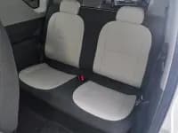 Panda 2025 Panda Mini 210km - Energetic Bear — миниатюра 11