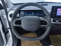 Panda 2025 Panda Mini 210km - Energetic Bear — миниатюра 15