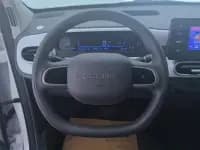 Panda 2025 Panda Mini 210km - Energetic Bear — миниатюра 15