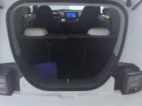 Panda 2025 Panda Mini 210km - Energetic Bear — миниатюра 4