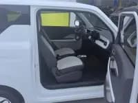 Panda 2025 Panda Mini 210km - Energetic Bear — миниатюра 8