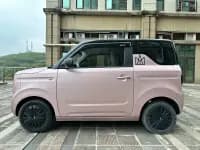 Panda 2023 Panda Mini 200km Agile Bear — миниатюра 3