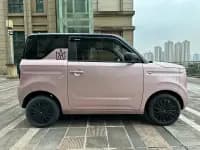 Panda 2023 Panda Mini 200km Agile Bear — миниатюра 7