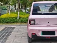 Panda 2023 Panda Mini 200km Agile Bear — миниатюра 18