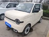 Panda 2025 Panda Mini 210km - Energetic Bear — миниатюра 1