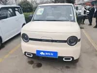 Panda 2025 Panda Mini 210km - Energetic Bear — миниатюра 2