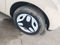 Panda 2025 Panda Mini 210km - Energetic Bear — миниатюра 6