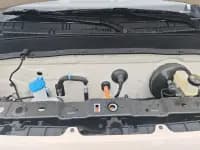 Panda 2025 Panda Mini 210km - Energetic Bear — миниатюра 10