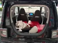 Panda 2025 Model 210km Panda Gokart — миниатюра 4