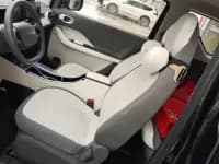 Panda 2025 Model 210km Panda Gokart — миниатюра 9