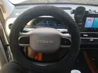 Panda 2025 Model 210km Panda Gokart — миниатюра 15