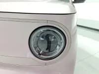 Panda 2023 Panda Mini 200km Endurance Bear — миниатюра 5