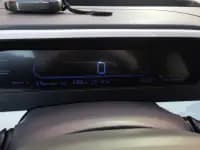 Panda 2025 Model 210km Panda Gokart — миниатюра 14