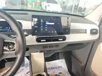 Panda 2025 Model 210km Panda Rider — миниатюра 13