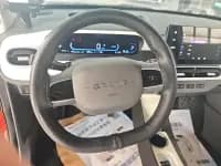 Panda 2025 Model 210km Panda Rider — миниатюра 15