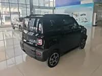 Panda 2025 Model 210km Panda Rider — миниатюра 3