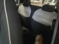 Panda 2024 Panda Mini 200km Endurance Bear — миниатюра 11