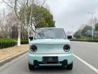 Panda 2023 Panda Mini 200km Endurance Bear — миниатюра 2