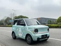 Panda 2023 Panda Mini 200km Endurance Bear — миниатюра 3