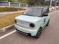 Panda 2023 Panda Mini 200km Endurance Bear — миниатюра 1