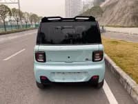 Panda 2023 Panda Mini 200km Endurance Bear — миниатюра 8