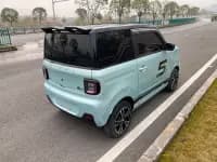 Panda 2023 Panda Mini 200km Endurance Bear — миниатюра 9