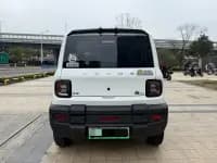 Panda 2024 Model 200km Panda Rider — миниатюра 11