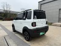 Panda 2024 Model 200km Panda Rider — миниатюра 12