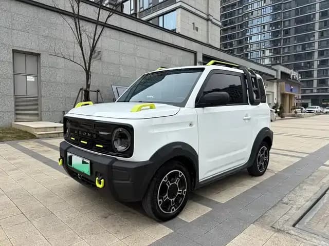 Panda 2024 Model 200km Panda Rider