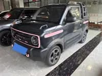 Panda 2023 Panda Mini 200km Agile Bear — миниатюра 1