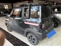 Panda 2023 Panda Mini 200km Agile Bear — миниатюра 9