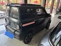 Panda 2023 Panda Mini 200km Agile Bear — миниатюра 10