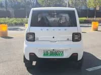 Panda 2023 Panda Mini 200km Endurance Bear — миниатюра 5