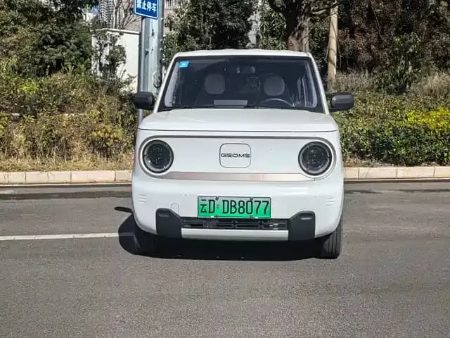 Panda 2023 Panda Mini 200km Endurance Bear