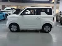 Panda 2024 Panda Mini 200km Dragon Edition — миниатюра 8