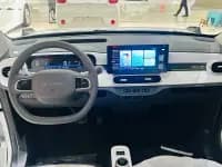 Panda 2025 Model 210km Panda Gokart — миниатюра 11