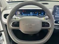 Panda 2025 Model 210km Panda Gokart — миниатюра 12