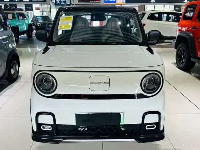 Panda 2025 Model 210km Panda Gokart