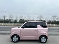 Panda 2024 Panda Mini 200km Endurance Bear — миниатюра 2