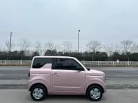 Panda 2024 Panda Mini 200km Endurance Bear — миниатюра 6