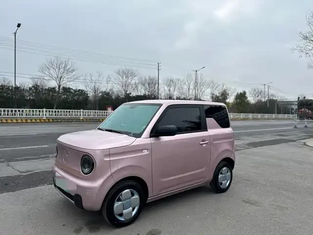 Panda 2024 Panda Mini 200km Endurance Bear