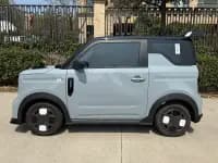 Panda 2025 Model 210km Panda Gokart — миниатюра 3