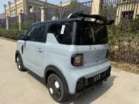 Panda 2025 Model 210km Panda Gokart — миниатюра 8