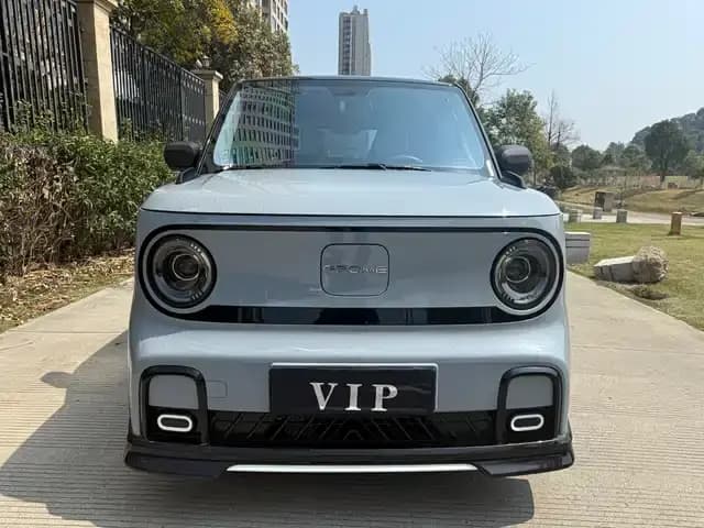 Panda 2025 Model 210km Panda Gokart