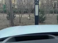 Range Rover 2023 3.0 L6 400PS Grand Long Wheelbase — миниатюра 16