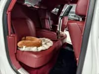 2010 Ghost 6.6T Standard Edition — миниатюра 10