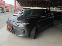 Leapmotor C11 2023 Pure Electric 500 Smart Edition — миниатюра 1