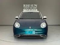 ORA Good Cat 2021 Model, 400km Standard Range, Venus Edition, Lithium Iron Phosphate — миниатюра 2