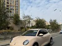 ORA Good Cat 2023 Model, 401km Standard Range, Luxury Edition, Lithium Iron Phosphate — миниатюра 1