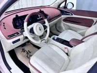 ORA Good Cat 2021 Model, 400km Standard Range, Venus Edition, Lithium Iron Phosphate — миниатюра 21